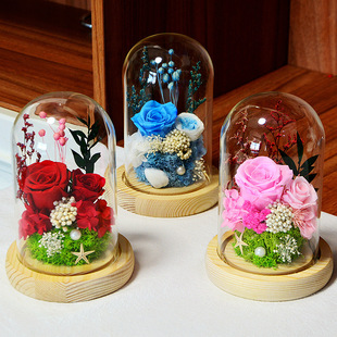 Eternal Flower Glass Cover Finished Decoration Valentine's Day Creative Rose Dried Flower Preserved Flower Gift Box Christmas Gift