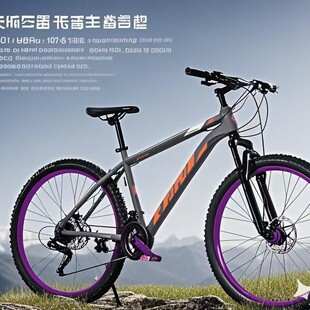Tupo car in stock wholesale 26 inch 24 speed mountain bike 27 speed variable speed car off-road variable speed adult mountain bike