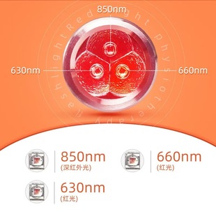 Amazon Red Flashlight Amazon Foreign Trade Red Infrared Light Used in Gym Sauna Room Yoga Studio