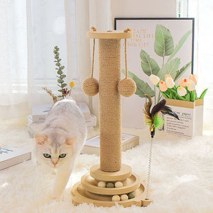 Сизаль кошачий царапает коготь