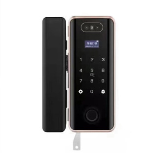 Haibao City 3D Face Recognition Smart Glass Door Lock Metal Body Double Hook Lock Tongue Fingerprint Glass