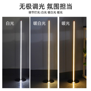 Floor Lamp Ins Simple Nordic Living Room Bedroom Table Lamp Creative Hotel Bedside Sofa Decorative Corner Atmosphere Lamp