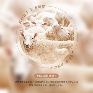 Zhiduo Sheep Oil увлажняющий крем увлажняющий кожу глубоко питательный не плотные средства по уходу за кожей оптовая продажа с фабрики