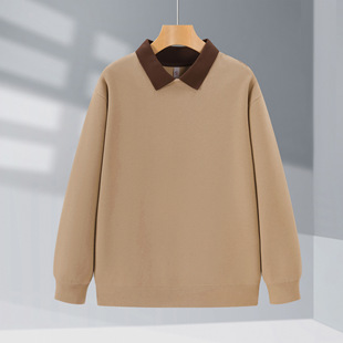 Autumn work clothes lapel sweater men's thin milk tea shop long sleeve sweater loose South Korea solid color embroidered printed logo
