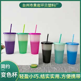 Summer creative new temperature straw color change cup plastic cup 710ml beverage temperature pp Straw Cup wholesale