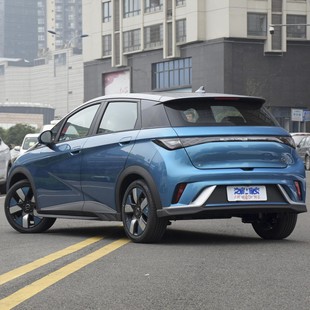 Применимо для BYD Dolphin Knight Edition