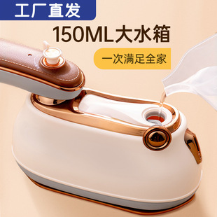 Steam Ironing Machine Handheld Portable Electric Iron Household Travel Mini Ironing Clothes