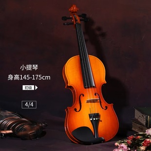 Handmade Violin Basswood Handmade Solid Wood Musical Instruments Adult Children Beginners Test Performance