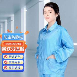 Anti-static dustproof clean clothes electronic factory work clothes workshop men and women suit breathable