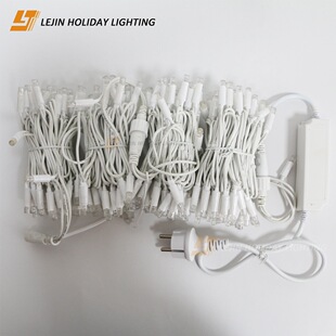 Customized Led Two-Color String Lights 10m Remote Control Outdoor Christmas Lights Decoration 220V Waterproof Rubber Wire Bubble Shell Light String