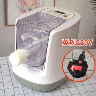 Noodles machine electric cross-border 220v household 110v noodle press and noodle machine dumpling machine