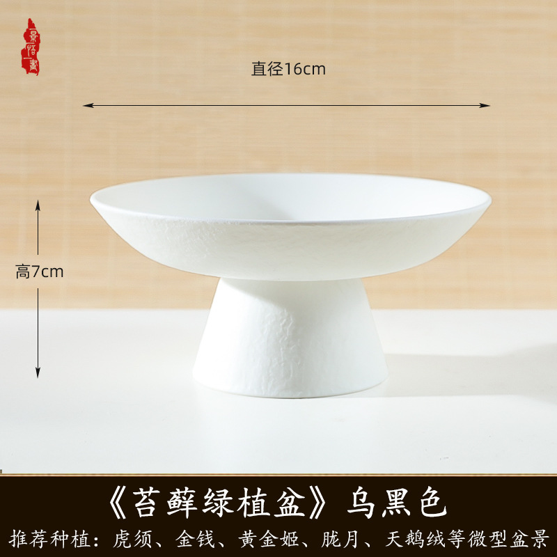 Hydroponic Utensils, Calamus, Green Plant Pots, Hydroponic Dendrobium, Japanese Snacks, Dried Fruit Plates, Tall Resin Flower Pots Wholesale