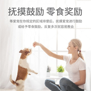 Pet general defecation inducer 120ml dog toilet inducer defecation cat positioning training toilet spray