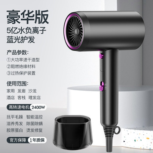 Folding Hair Dryer Household High-speed Cold and Hot Air Adjustable Constant Temperature High-power Hair Salon Quick-drying Negative Ion Hair Dryer