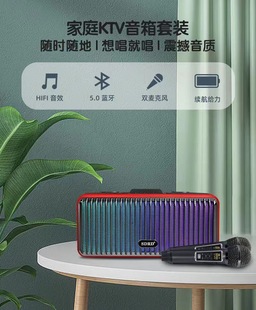 SD319PRO Bluetooth speaker wireless mobile phone home portable desktop karaoke audio dual microphone all-in-one machine