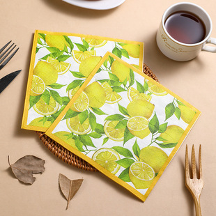 Cross-border printed napkin assembly celebration square paper factory wholesale fruit birthday party theme decorative paper towel