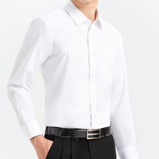 Spring New Men's Shirt Solid Color Professional Top Long Sleeve Trendy Simple Fashion Jacket Men's Business Slim Fit