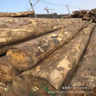 Imported paulownia wood log Board white milk wood furniture wood outdoor hard Miscellaneous Wood in stock wholesale