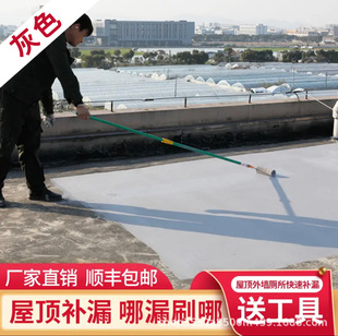 Roof Waterproofing and Leak-Proofing Materials, Special Waterproof Coating for Roof Cracks, Exterior Wall Flat Roof Leak-Proofing and Leak-Proofing Glue