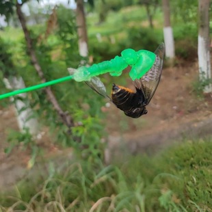 Sticky cicada small hand artifact cicada catching tool palm grasping small green hand professional super sticky cicada rod sticky hand wholesale
