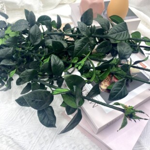 Вечная розовая ветвь розы DIY стеклянная крышка маленький принц столб розы листья розы ветки розы