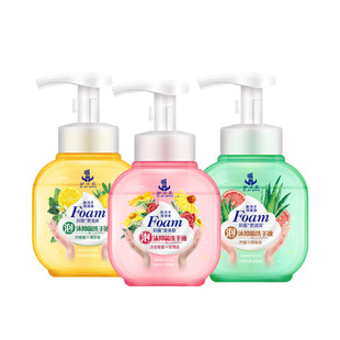 Gentle cleaning foam hand sanitizer antibacterial household commercial hotel wash-free aloe flower bubble hand sanitizer wholesale