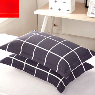 Factory Special Offer Pillowcase 48x 74cm Full Head Cover Adult Couple Student Dormitory Home Single Pillow for Spring and Summer