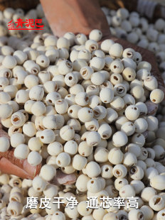 Lotus Seed Dry Goods Cored Green Mud Preferred Honghu Lotus Seed 500g Specialty White Lotus with Lily