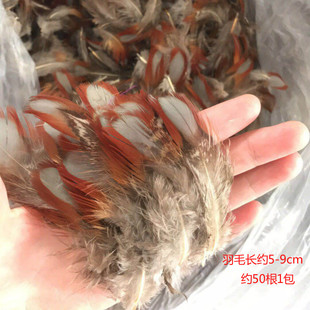 diy Accessories Feather Decoration Headwear Corsage Hat Shoes Handmade Crafts Decoration Early Childhood Education