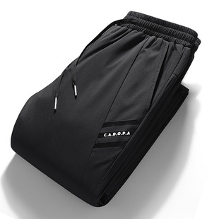 Cross-border Winter New Down Pants Men's Outer Wear Handsome Loose plus size Thickened Outdoor Warm White Duck Down Solid Color