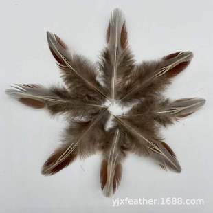 Factory spot wholesale feather red rich feather DIY dream catcher brooch cap flower jewelry material