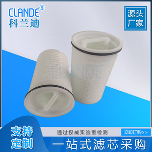 Customized 10inch Replacement Pall Folding Filter Element Security Filter Alternative Filter Element Industrial Water Treatment Filter