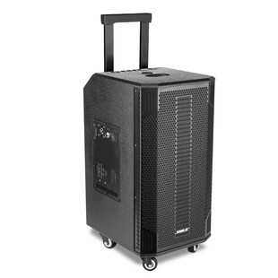 SL-3 Lion Le на открытом воздухе Мобильная высокая мощность 300W развлекательный караоке аудио двойной восьмидюймовый танцевальный динамик