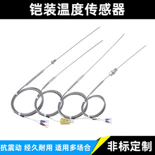 K-Type Armored Thermocouple Electric Thermocouple Wrnk-191 Bendable Pt100/E/J/T-Type Temperature Sensor Probe