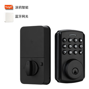 Smart Lock Полностью автоматическая блокировка через границы Google Home Amazon Alexa Граффити пароль замок