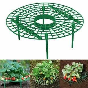 Cross-border Strawberry Planting Tray Bracket Horticultural Potted Fruit Green Plant Splicing Anti-rotten Leaf and Fruit Rack Support Frame