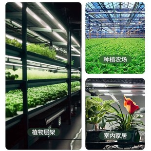 Plant Light Wholesale T8 Waterproof Full Spectrum LED Growth Light Flower Tissue Culture Fleshy Vegetable Seedling Supplements Light