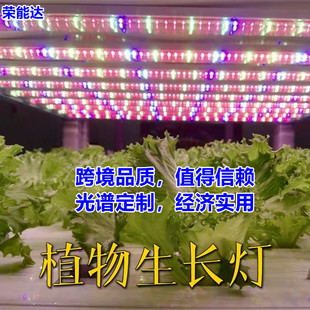 14-year manufacturer full spectrum T8T5 plant lamp growth lamp integrated flower greenhouse household succulent fill light