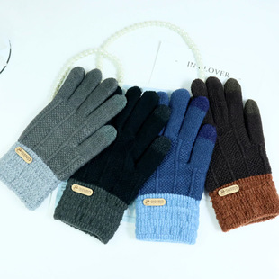 Warm Gloves fleece-lined Men's Cycling Touchscreen Autumn and Winter Men's Cotton Gloves Riding Wool Men's Cold-proof Handsome