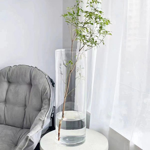 Acrylic Anti-fall Vase Ornaments Living Room Flower Arranging Transparent Water-nourishing Rich Bamboo Straight Tube Light Luxury Sense Flower Bucket Plastic
