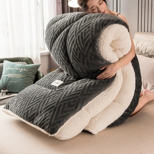 Solid Color Lamb Fleece Quilt Winter Quilt Thickened Warm Quilt Thick Core Winter Single Winter Milk Fleece Spring and Autumn Quilt