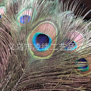 Wholesale 25-30cm peacock feather in stock supply peacock feather can do clothing accessories vase jewelry