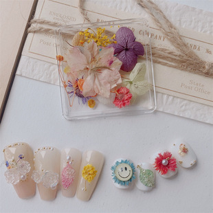 Japanese spring and summer manicure dried flower small petal jewelry eternal flower natural ultra-thin net red illustration real flower henna paste