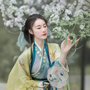 Phoenix Butterfly Ancient Costume Song-made Hanfu Pair Wearing Waist-length Big Sleeve Shirt Three-piece Hanfu Women's Spring and Summer Daily New Hanfu