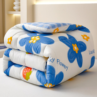 Factory wholesale quilt winter thick pure a cotton single dormitory winter quilt double bedding single spring and autumn quilt core