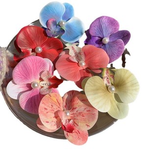 Today's Wear Flower High-grade Atmosphere Phalaenopsis Edge Clip Grab Clip Photo Flower Shape Hairpin New Hair Accessories