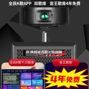 Smart Projector Outdoor Live Broadcast Square Dance Audio Home Karaoke with Microphone High Power Plug-In Card Bluetooth Speaker
