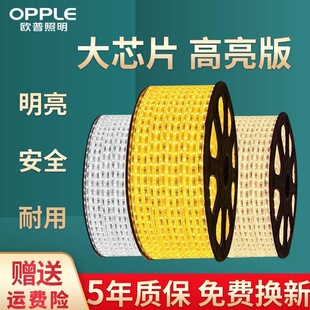 Op led Light Strip Three-color Dimming Color Wire Light Home Living Room Ceiling Super Bright Outdoor Waterproof Light Strip 220
