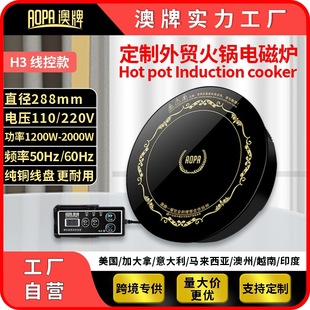 Customized Australian Brand 120V Round Square Embedded Commercial Hot Pot Induction Cooker Exported to Foreign Countries, the United States and Japan 110V