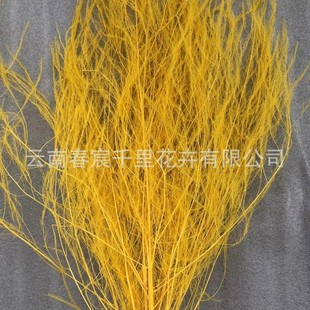 Eternal Dragon Wholesale Bushgrass Home Decorative Wall-hung Rattan Plant Wedding Decoration Asparagus Grass Feather Grass Gracilaria